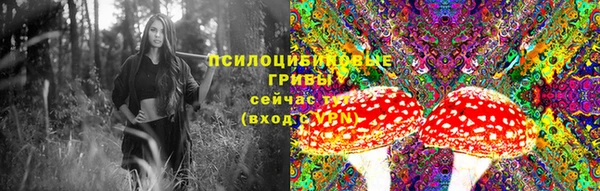 дмт Зеленокумск