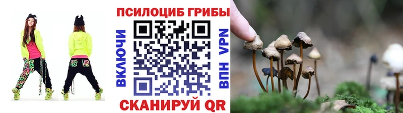 где купить наркоту  Балашиха  Псилоцибиновые грибы GOLDEN TEACHER 