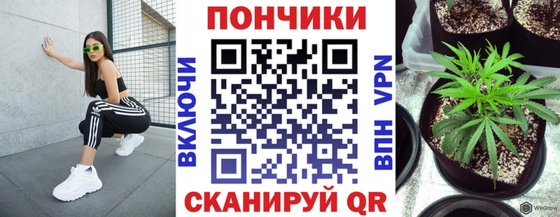 МАРИХУАНА Ganja  купить наркотики цена  Балашиха 